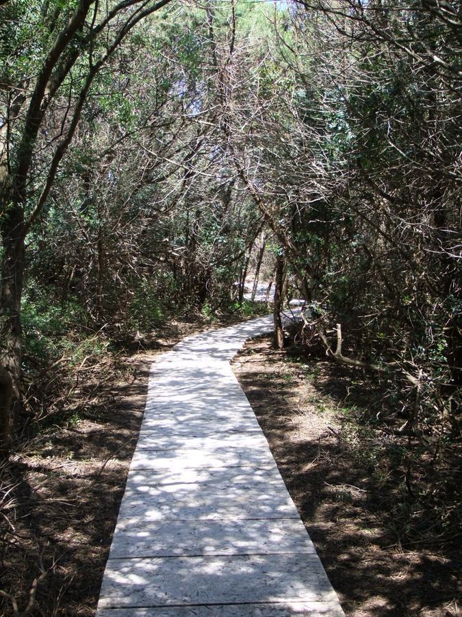 Rosa Marina Frontline Guest house Ostuni