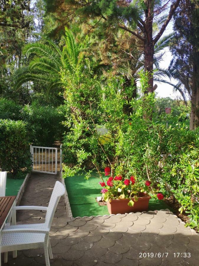 Rosa Marina Frontline Guest house *